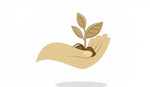 BSAT, Food companies in Lebanon, food factories in Lebanon, Lebanese Food Company, Tahini Lebanon, Tahina Lebanon, Thineh Lebanon, Halva Lebanon, Halawa Lebanon, Sesame Lebanon, Turkish Delight Lebanon, Lokum Lebanon, Carob Molasses Lebanon, Mélasse de caroube Liban, Mixed nuts, nuts Lebanon, sweet Lebanon, sweet companies in Lebanon, food traditional food Lebanon, Kamel Bsaat, www.irisgraphic.com<http://www.irisgraphic.com>, food industries Lebanon, food industry in Lebanon